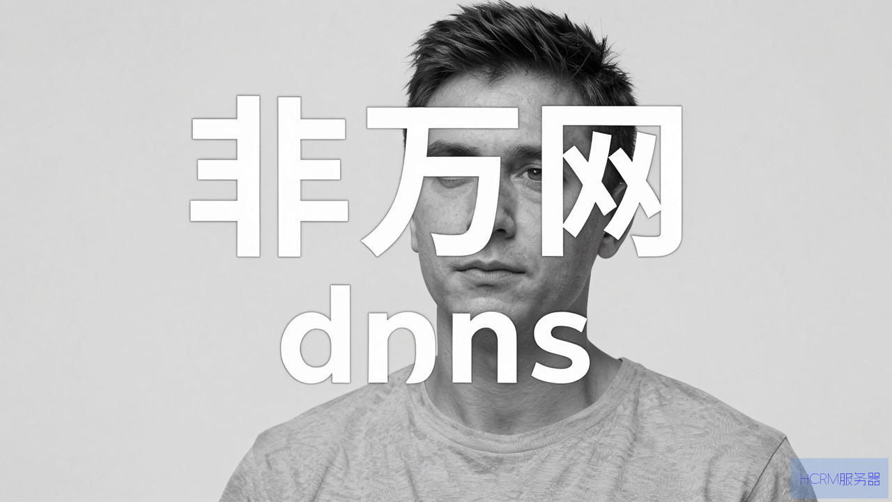怎么修改成非万网dns