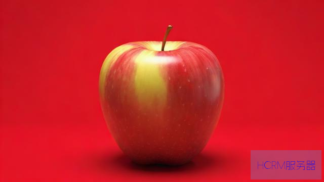 苹果怎么设置dns地址最快