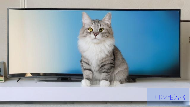 电视猫怎么改dns
