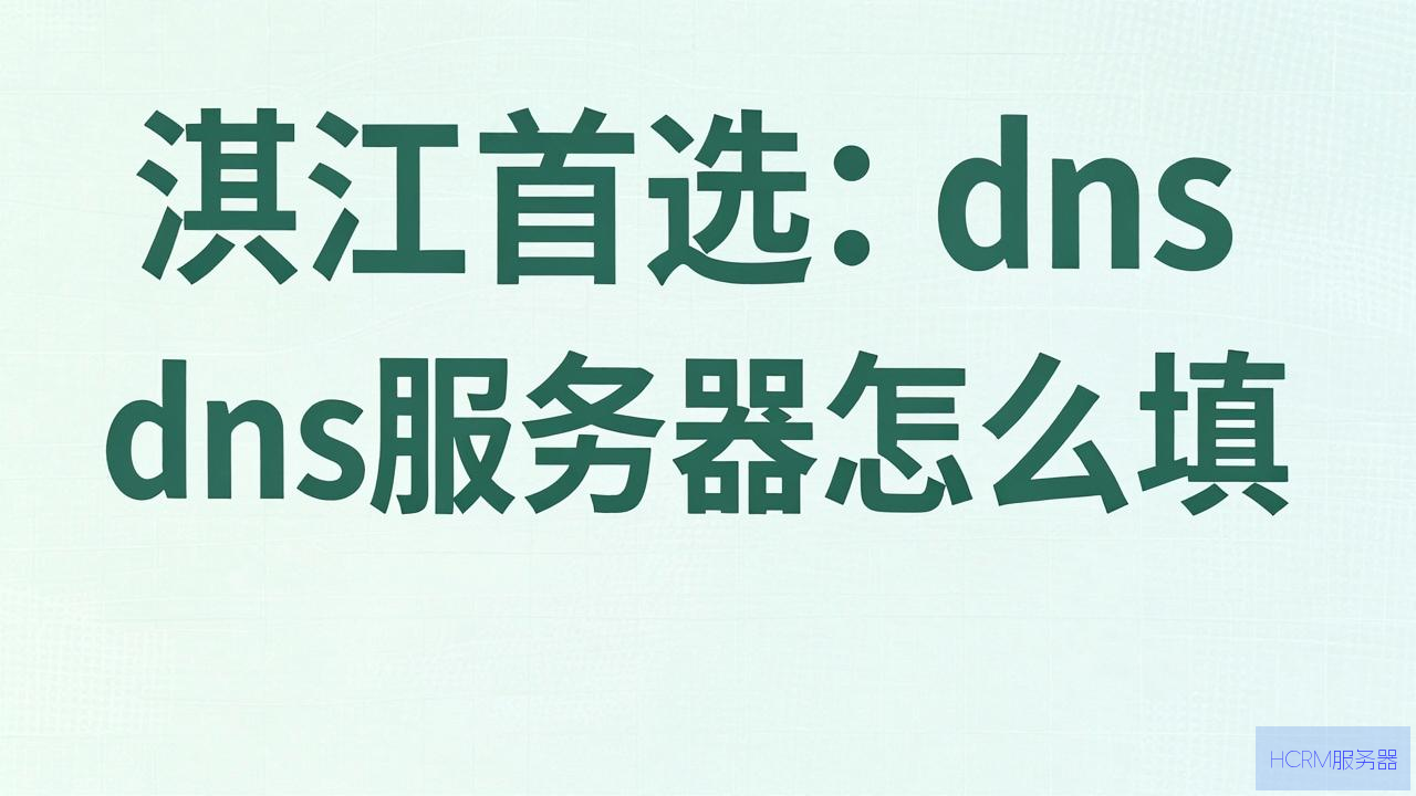湛江首选dns服务器怎么填