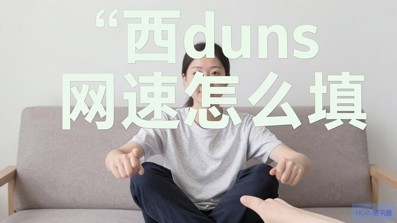 广西dns网速怎么填