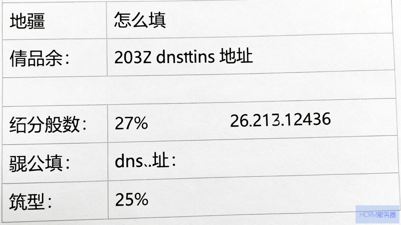 新疆dns地址怎么填