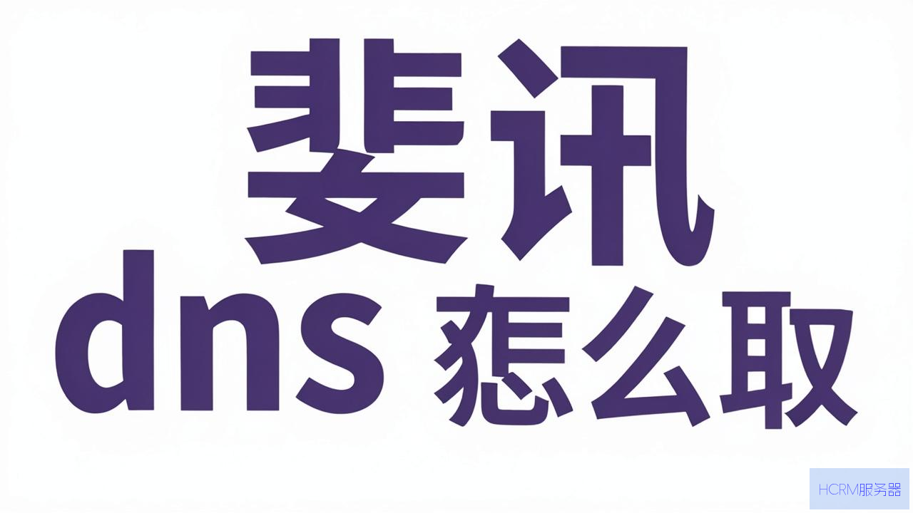 斐讯dns怎么获取ip