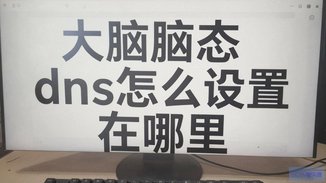 电脑动态dns怎么设置在哪里