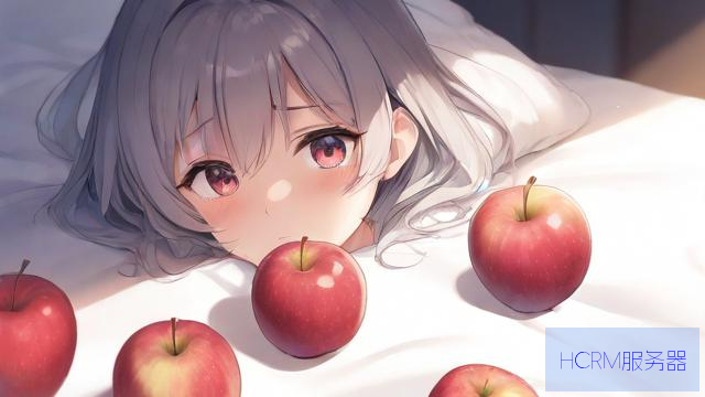 p站苹果怎么修改dns