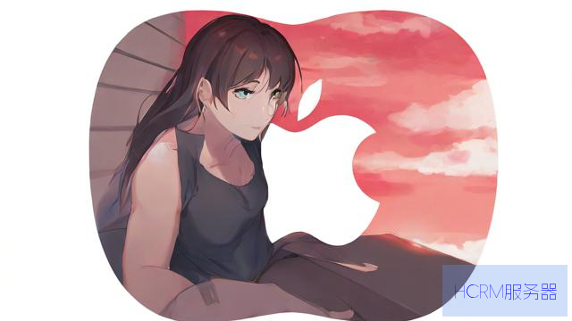 p站苹果怎么修改dns