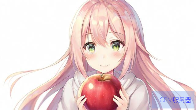 p站苹果怎么修改dns
