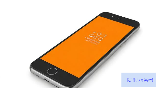 手机怎么查家里的dns
