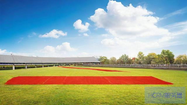 如何有效应对和解决502 Bad Gateway错误的实用指南