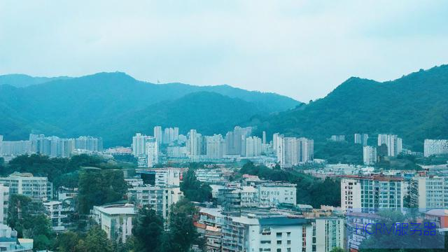 图虫服务器异常什么意思