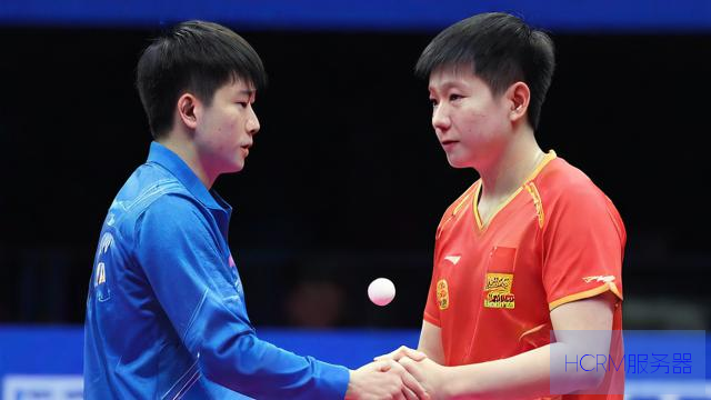 张本智和夺冠后再与王皓握手
