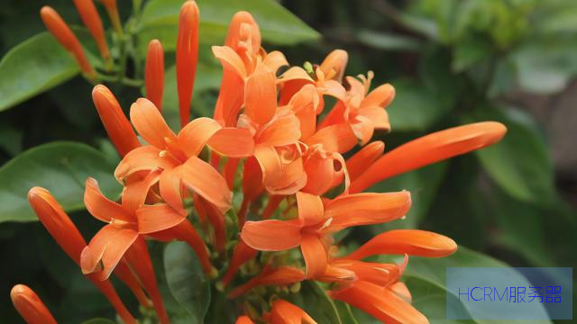 湖南中学生造“火箭”花光零花钱