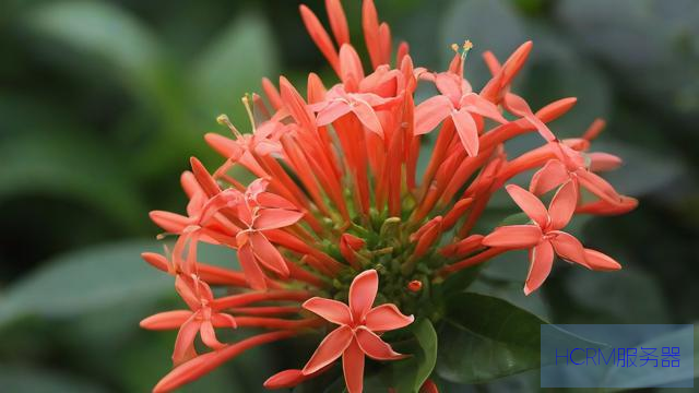 湖南中学生造“火箭”花光零花钱