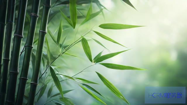 这些有关台风“竹节草”信息均不实