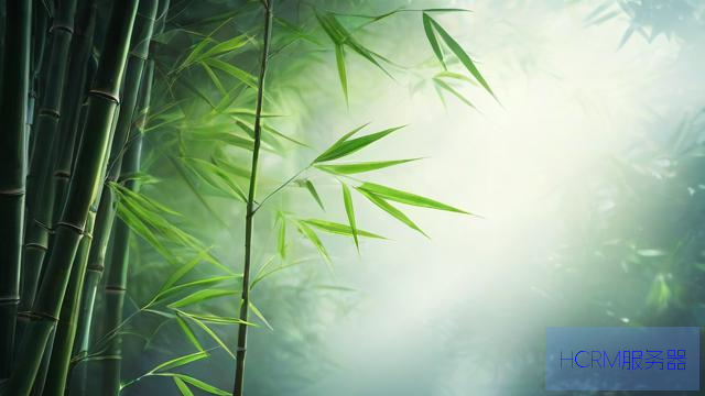 这些有关台风“竹节草”信息均不实
