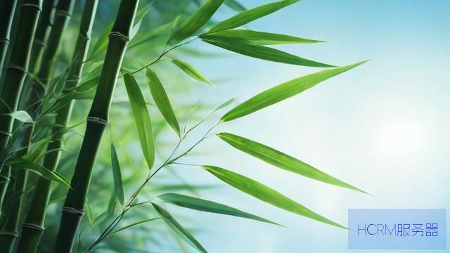 这些有关台风“竹节草”信息均不实