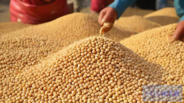 外媒：中国大豆进口商采购重心转移
