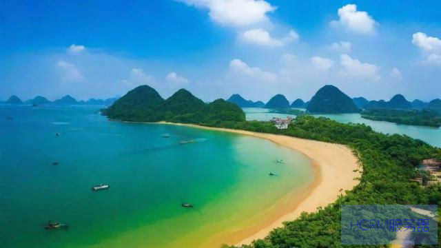广东一地发布基孔肯雅热后遗症告知书